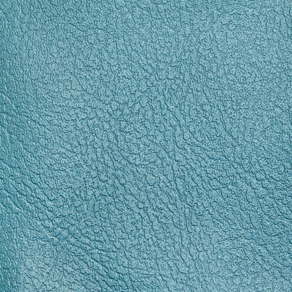 The Sweet Caroline - Blue & Lime