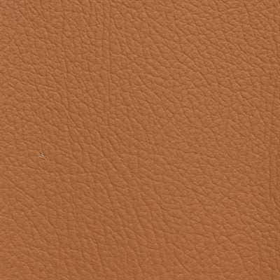 The Rich & Famous - Turmeric & Black