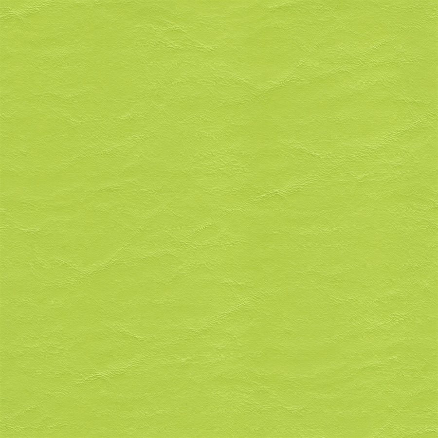 The Sweet Caroline - Blue & Lime