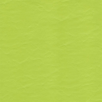 The Sweet Caroline - Blue & Lime