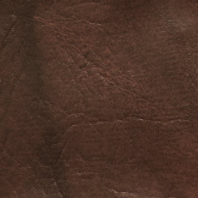 The Rich & Famous – Buckskin & Buck